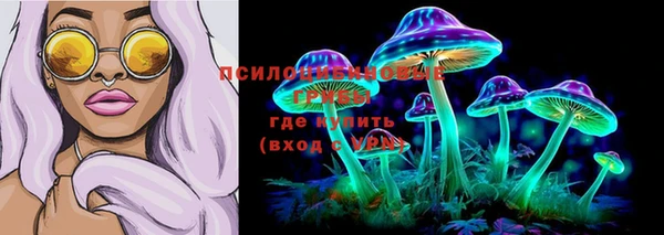 ПСИЛОЦИБИНОВЫЕ ГРИБЫ Гусь-Хрустальный