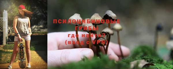 мет Гусев