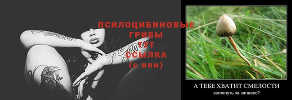 марихуана Гусиноозёрск