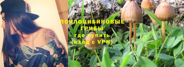марихуана Гусиноозёрск