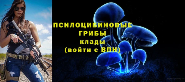 амф Горнозаводск