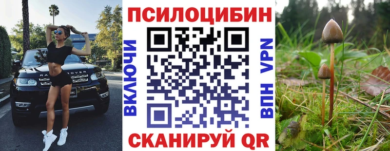 Псилоцибиновые грибы Psilocybe Северск